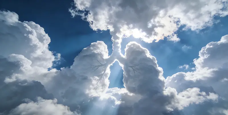 海口肺癌11基因检测组织版检测图1