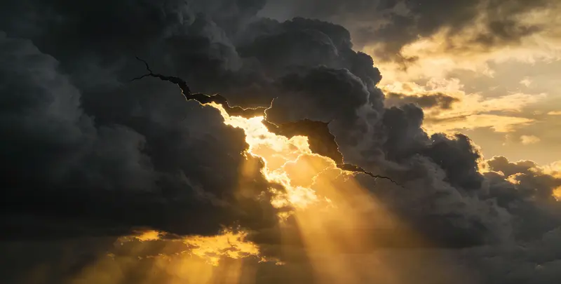 海口肺癌8基因突变检测（组织）检测图1