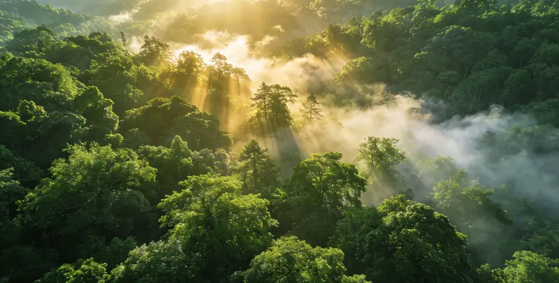 海口肺癌（EGFR T790M)突变检测检测图1