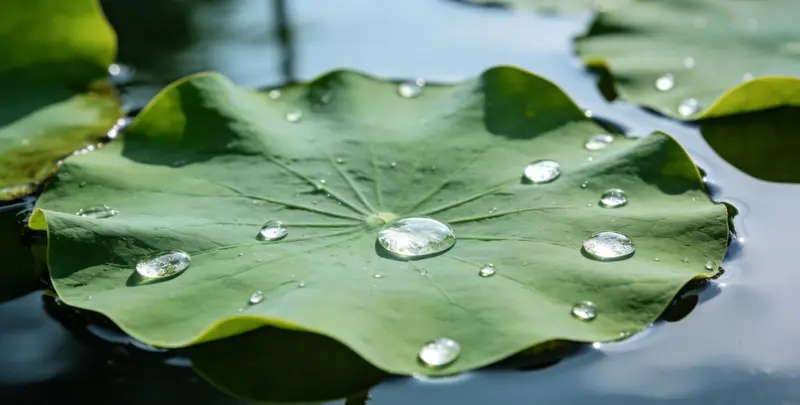 海口遗传性乳腺癌卵巢癌全面检测检测图1