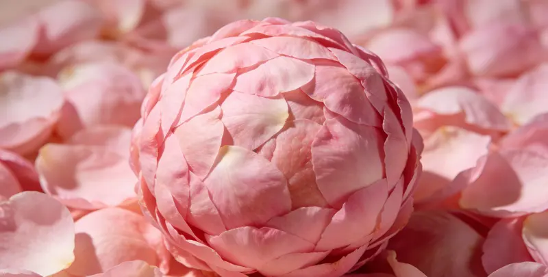 乳腺癌21基因检测图2