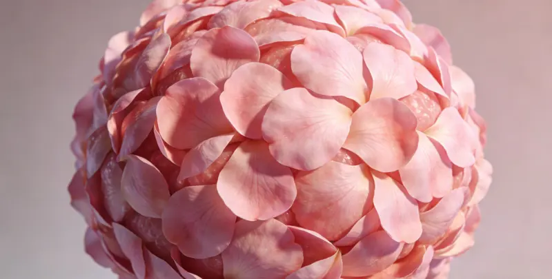 乳腺癌21基因检测图4