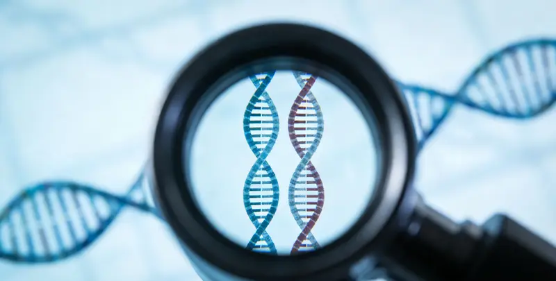 公证亲子鉴定图2