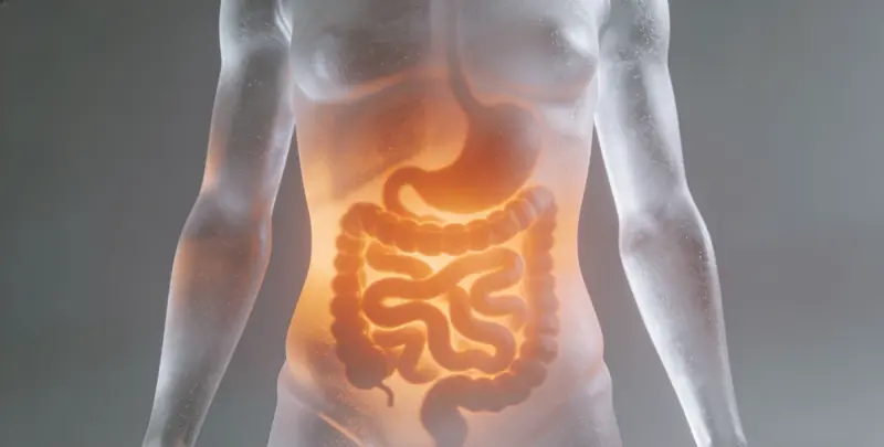 海口胃癌靶向用药39基因检测（组织）检测图1